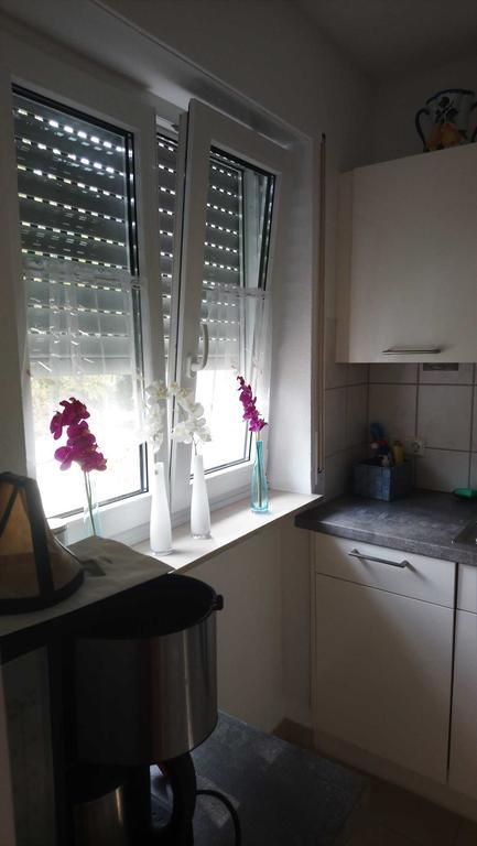 Apartmán Evelyn Klaeger Freiburg im Breisgau Exteriér fotografie